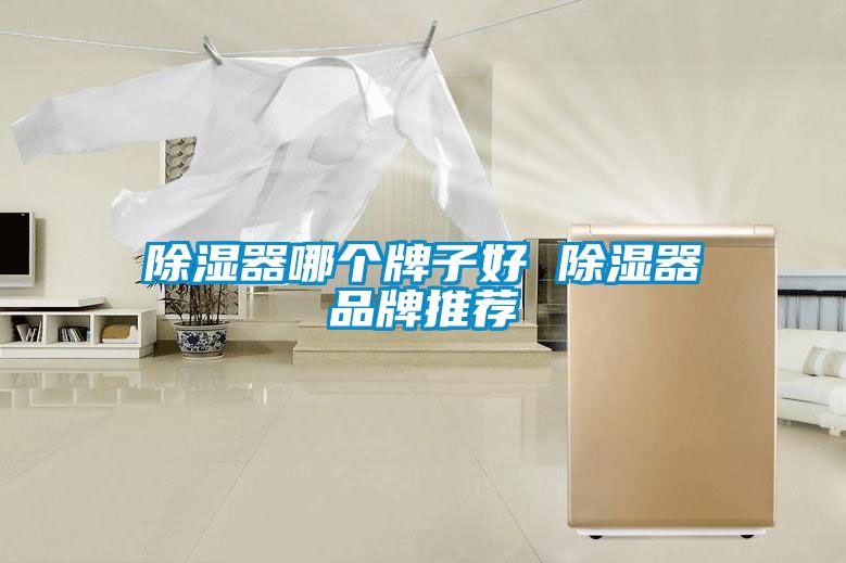 国产精品探花在线观看 除湿器哪个牌子好 除湿器品牌推荐