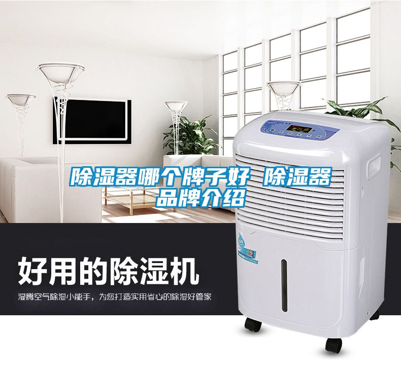 国产精品欧美激情视频 除湿器哪个牌子好 除湿器品牌介绍