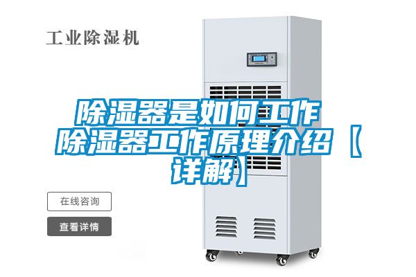 国产精品欧美激情视频 除湿器是如何工作 除湿器工作原理介绍【详解】