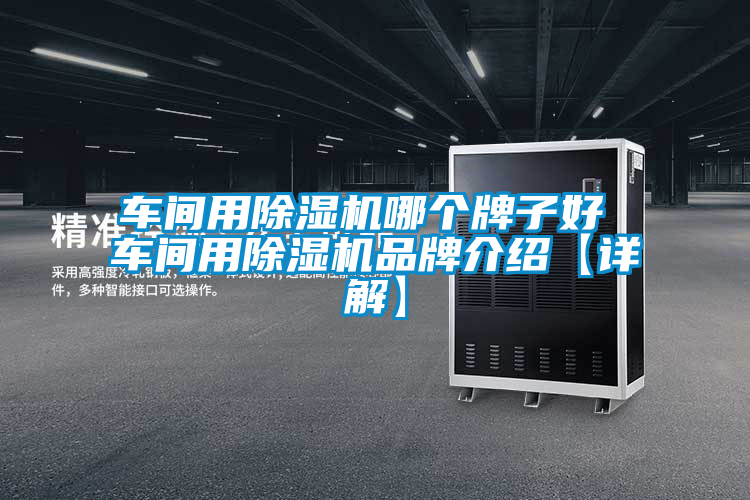 国产精品欧美激情视频 车间用除湿机哪个牌子好 车间用除湿机品牌介绍【详解】