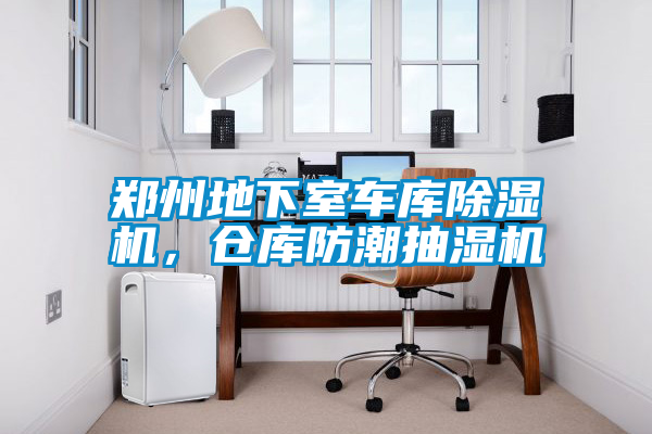 国产精品三级在线观看 郑州地下室车库除湿机，仓库防潮抽湿机