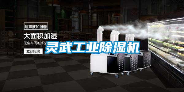 国产精品三级在线观看 灵武工业除湿机
