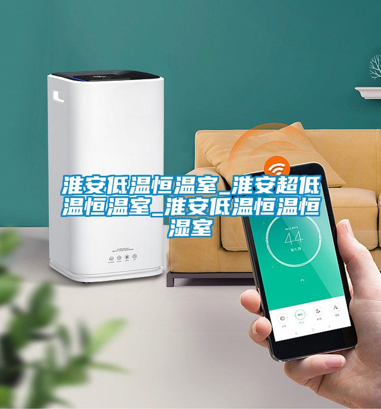 国产精品欧美激情视频 淮安低温恒温室_淮安超低温恒温室_淮安低温恒温恒湿室