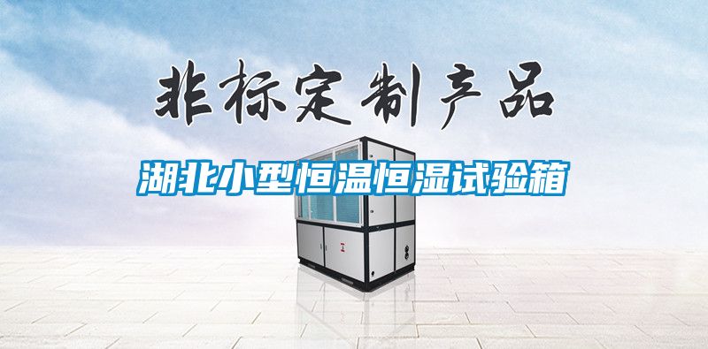 国产精品三级在线观看 湖北小型恒温恒湿试验箱