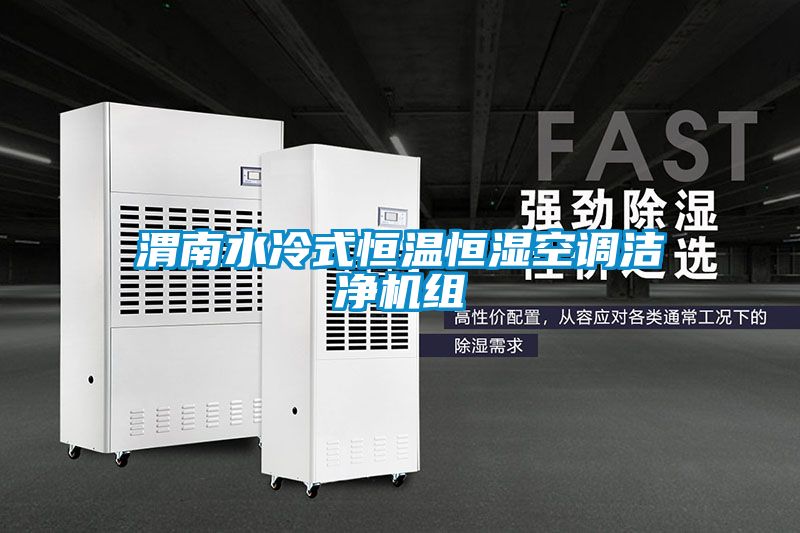 国产精品探花在线观看 渭南水冷式恒温恒湿空调洁净机组