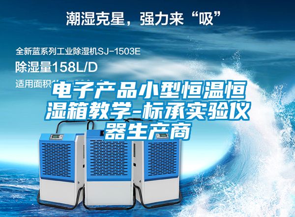 国产精品三级在线观看 电子产品小型恒温恒湿箱教学-标承实验仪器生产商