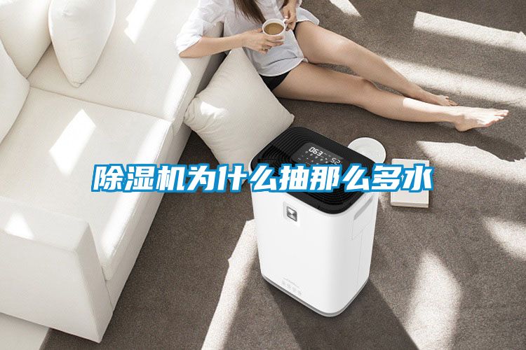 国产精品三级在线观看 除湿机为什么抽那么多水