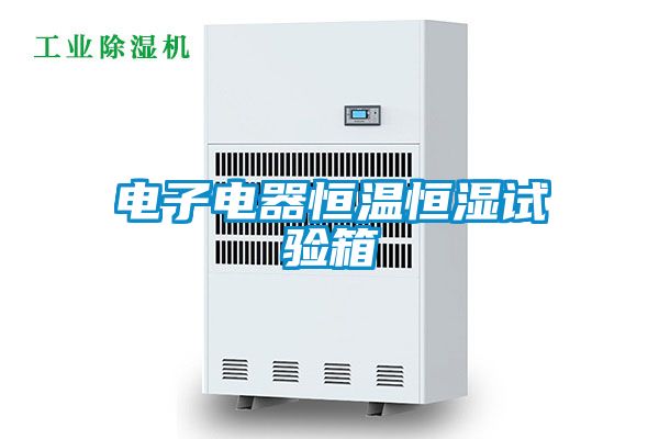 国产精品欧美激情视频 电子电器恒温恒湿试验箱