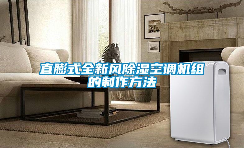 国产精品欧美激情视频 直膨式全新风除湿空调机组的制作方法