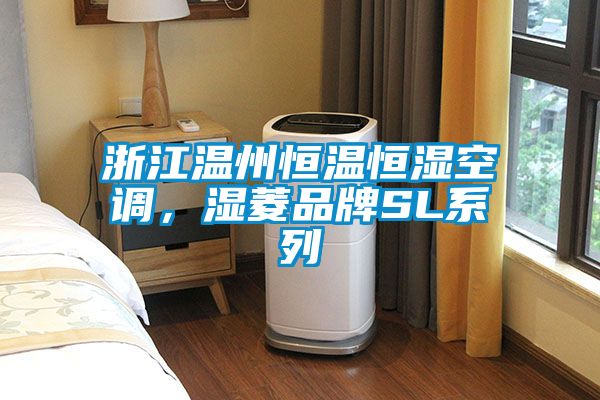 国产精品欧美激情视频 浙江温州恒温恒湿空调，湿菱品牌SL系列