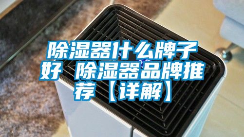国产精品三级在线观看 除湿器什么牌子好 除湿器品牌推荐【详解】