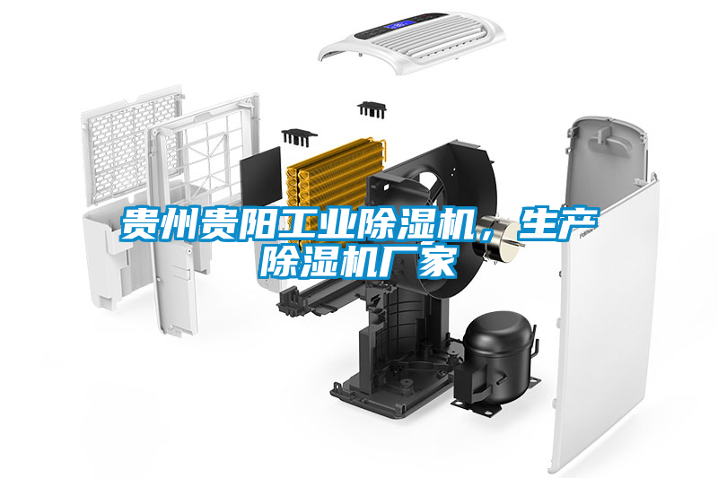 国产精品探花在线观看 贵州贵阳工业除湿机，生产除湿机厂家