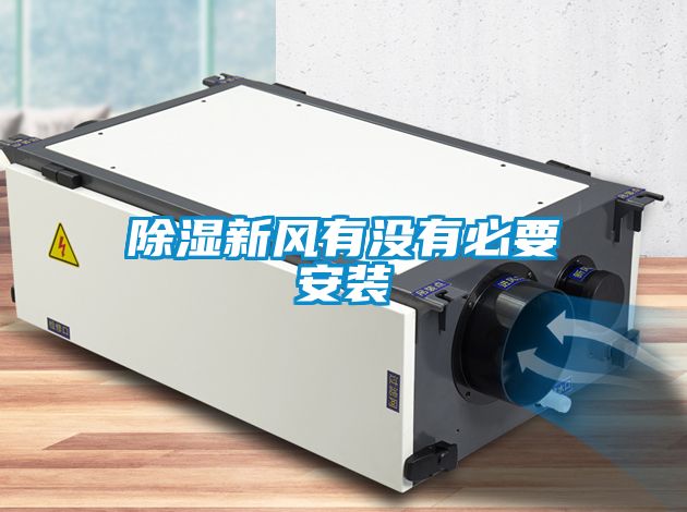 国产精品三级在线观看 除湿新风有没有必要安装