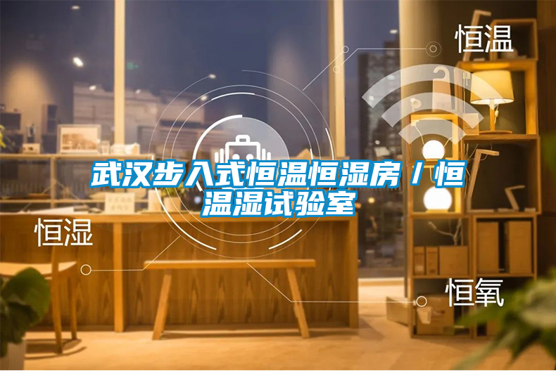 国产精品三级在线观看 武汉步入式恒温恒湿房／恒温湿试验室