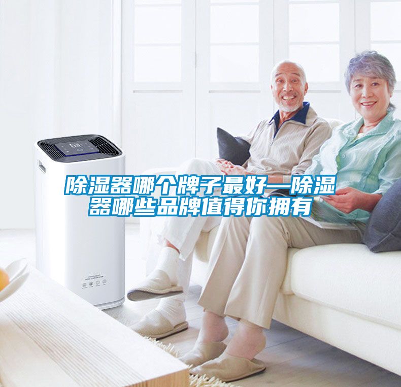 国产精品欧美激情视频 除湿器哪个牌子最好—除湿器哪些品牌值得你拥有