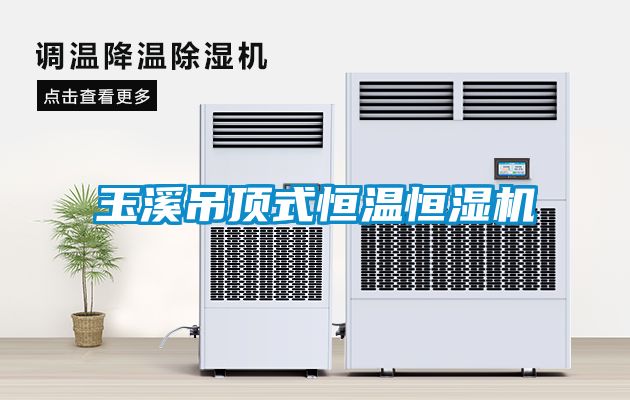 国产精品探花在线观看 玉溪吊顶式恒温恒湿机