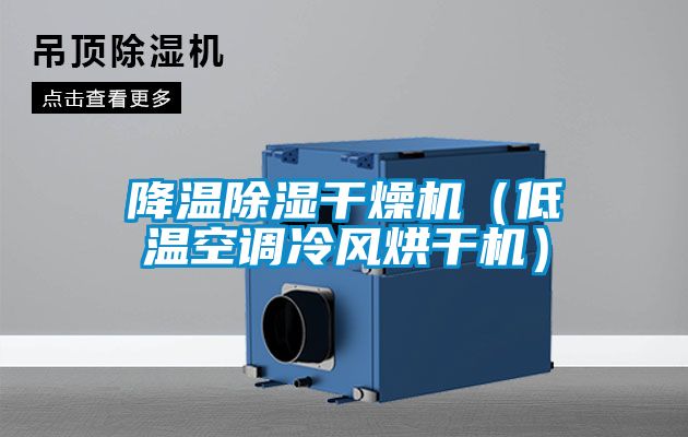 国产精品欧美激情视频 降温除湿干燥机（低温空调冷风烘干机）