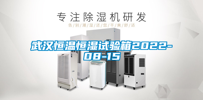 国产精品探花在线观看 武汉恒温恒湿试验箱2022-08-15