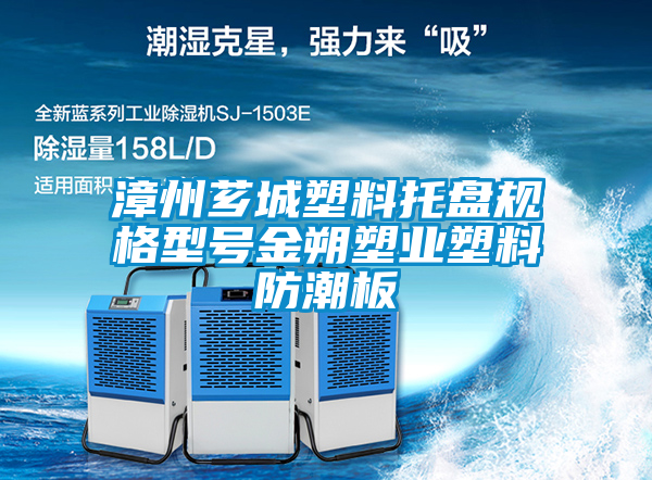 国产精品三级在线观看 漳州芗城塑料托盘规格型号金朔塑业塑料防潮板