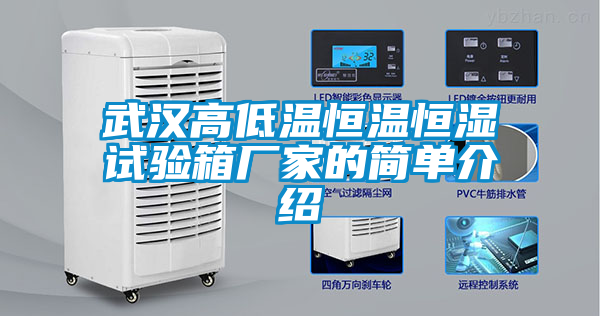 国产精品三级在线观看 武汉高低温恒温恒湿试验箱厂家的简单介绍