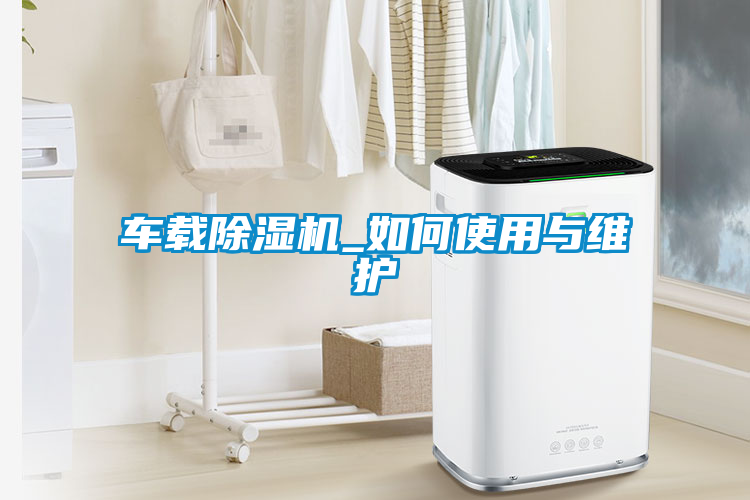 国产精品探花在线观看 车载除湿机_如何使用与维护