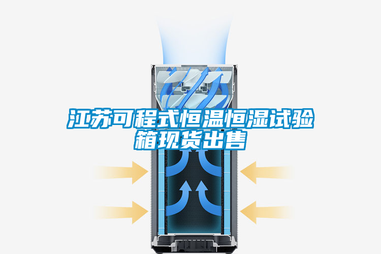 国产精品三级在线观看 江苏可程式恒温恒湿试验箱现货出售