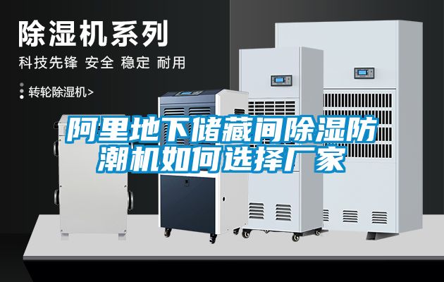 国产精品欧美激情视频 阿里地下储藏间除湿防潮机如何选择厂家