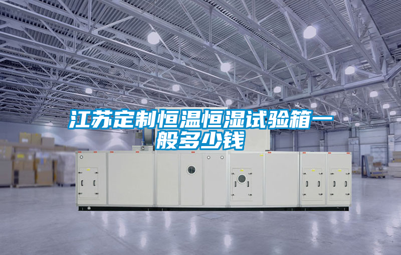 国产精品三级在线观看 江苏定制恒温恒湿试验箱一般多少钱