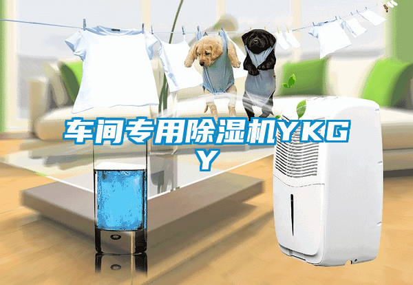 国产精品三级在线观看 车间专用除湿机YKGY