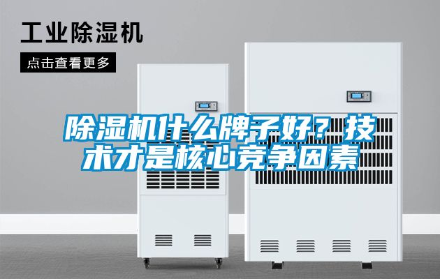 国产精品欧美激情视频 除湿机什么牌子好？技术才是核心竞争因素