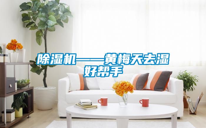 国产精品三级在线观看 除湿机——黄梅天去湿好帮手