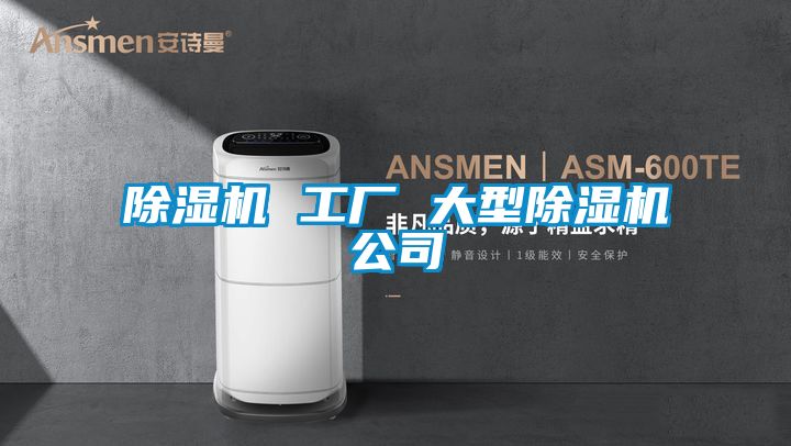 国产精品三级在线观看 除湿机 工厂 大型除湿机公司