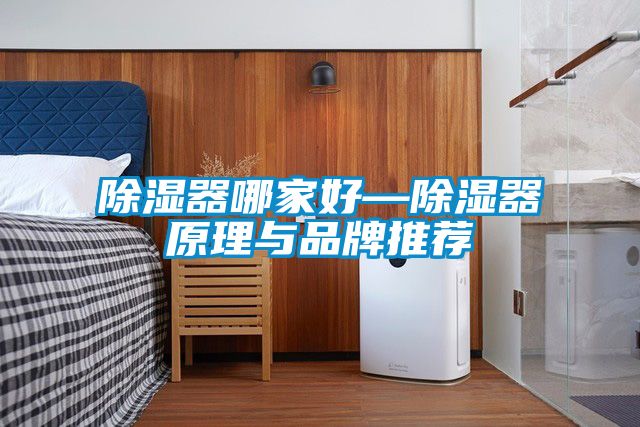 国产精品欧美激情视频 除湿器哪家好—除湿器原理与品牌推荐