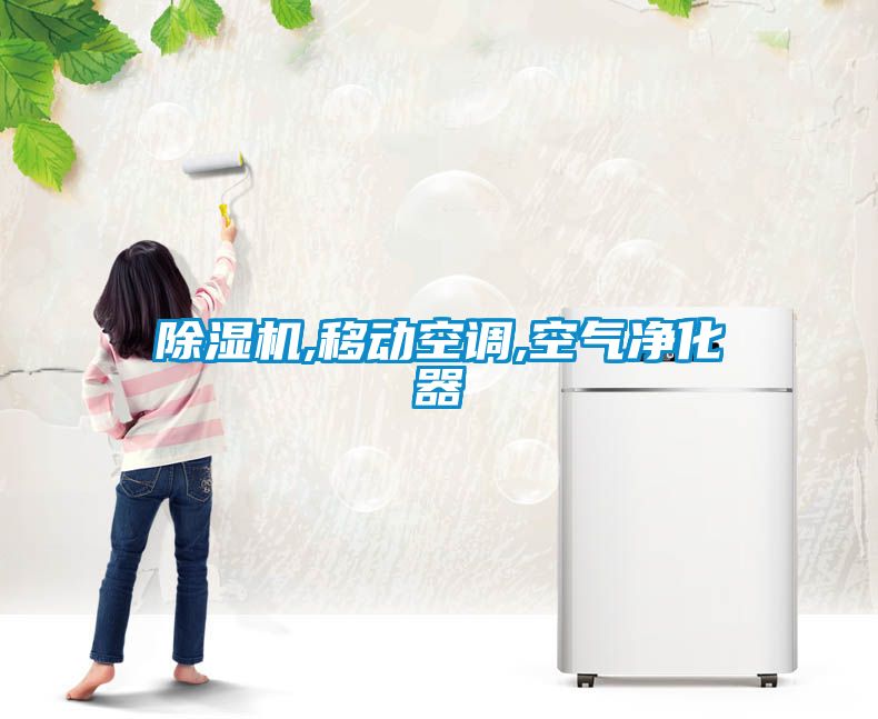 国产精品三级在线观看 除湿机,移动空调,空气净化器