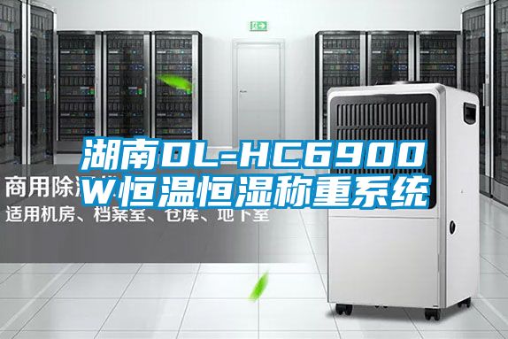 国产精品欧美激情视频 湖南DL-HC6900W恒温恒湿称重系统