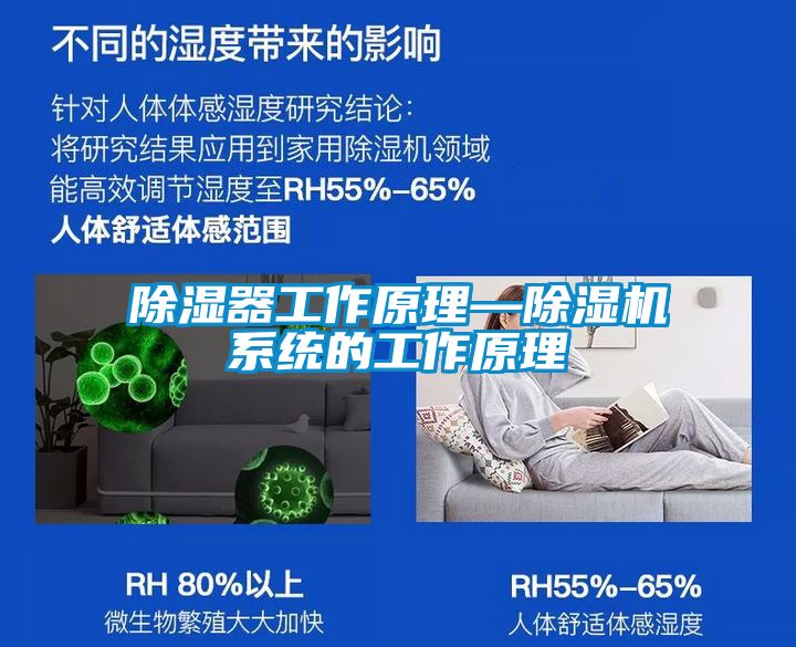 国产精品探花在线观看 除湿器工作原理—除湿机系统的工作原理