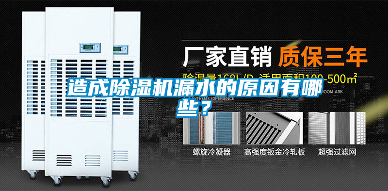 国产精品欧美激情视频 造成除湿机漏水的原因有哪些？