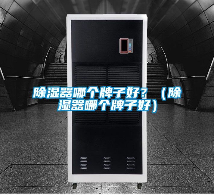 国产精品探花在线观看 除湿器哪个牌子好？（除湿器哪个牌子好）