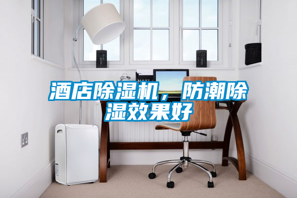 国产精品欧美激情视频 酒店除湿机，防潮除湿效果好