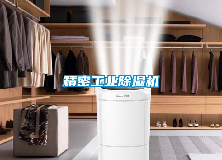 国产精品探花在线观看 精密工业除湿机