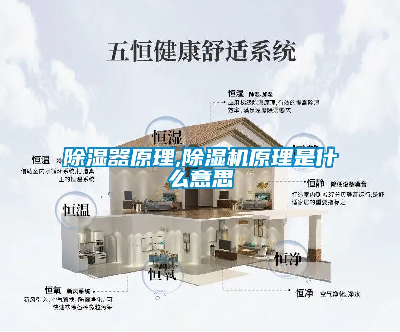 国产精品三级在线观看 除湿器原理,除湿机原理是什么意思