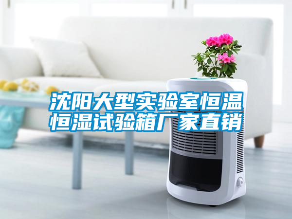 国产精品三级在线观看 沈阳大型实验室恒温恒湿试验箱厂家直销