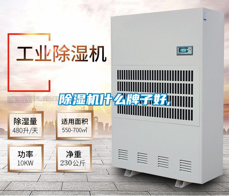 国产精品三级在线观看 除湿机什么牌子好,