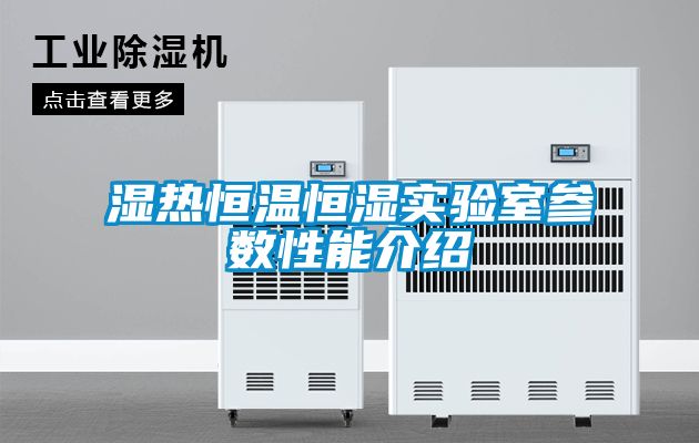 国产精品三级在线观看 湿热恒温恒湿实验室参数性能介绍