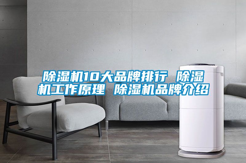国产精品探花在线观看 除湿机10大品牌排行 除湿机工作原理 除湿机品牌介绍