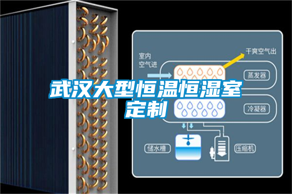 国产精品探花在线观看 武汉大型恒温恒湿室定制