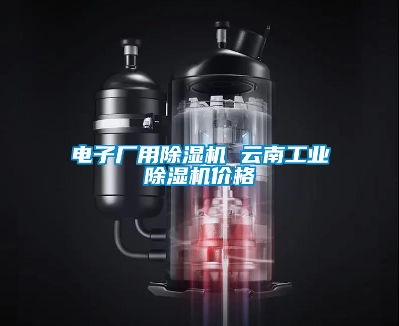 国产精品三级在线观看 电子厂用除湿机 云南工业除湿机价格