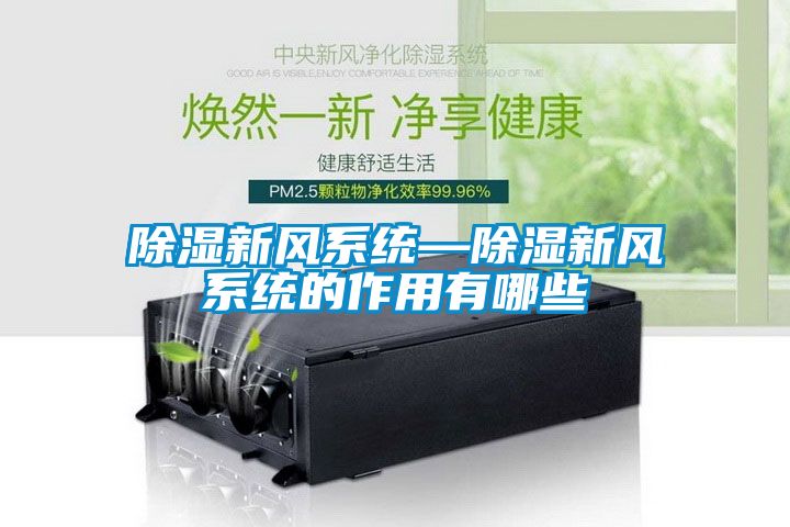 国产精品探花在线观看 除湿新风系统—除湿新风系统的作用有哪些