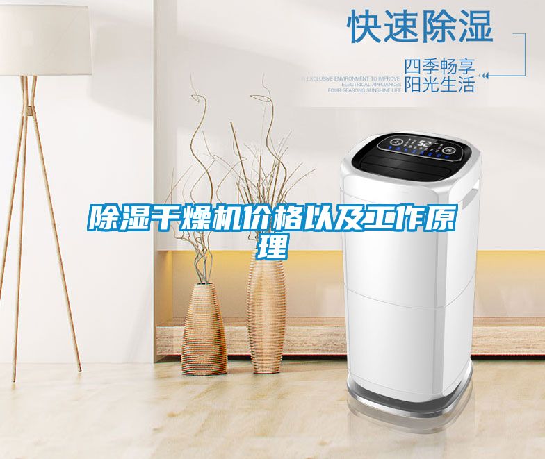 国产精品三级在线观看 除湿干燥机价格以及工作原理