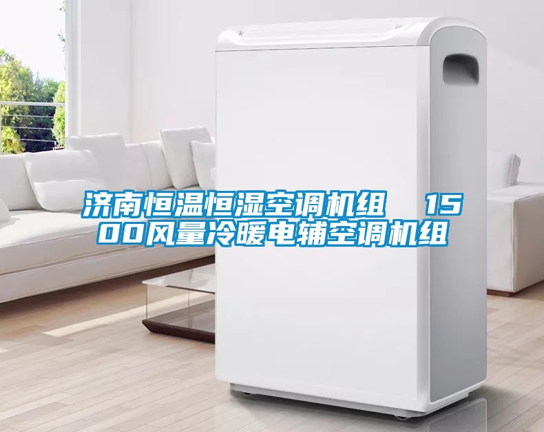 国产精品三级在线观看 济南恒温恒湿空调机组  1500风量冷暖电辅空调机组